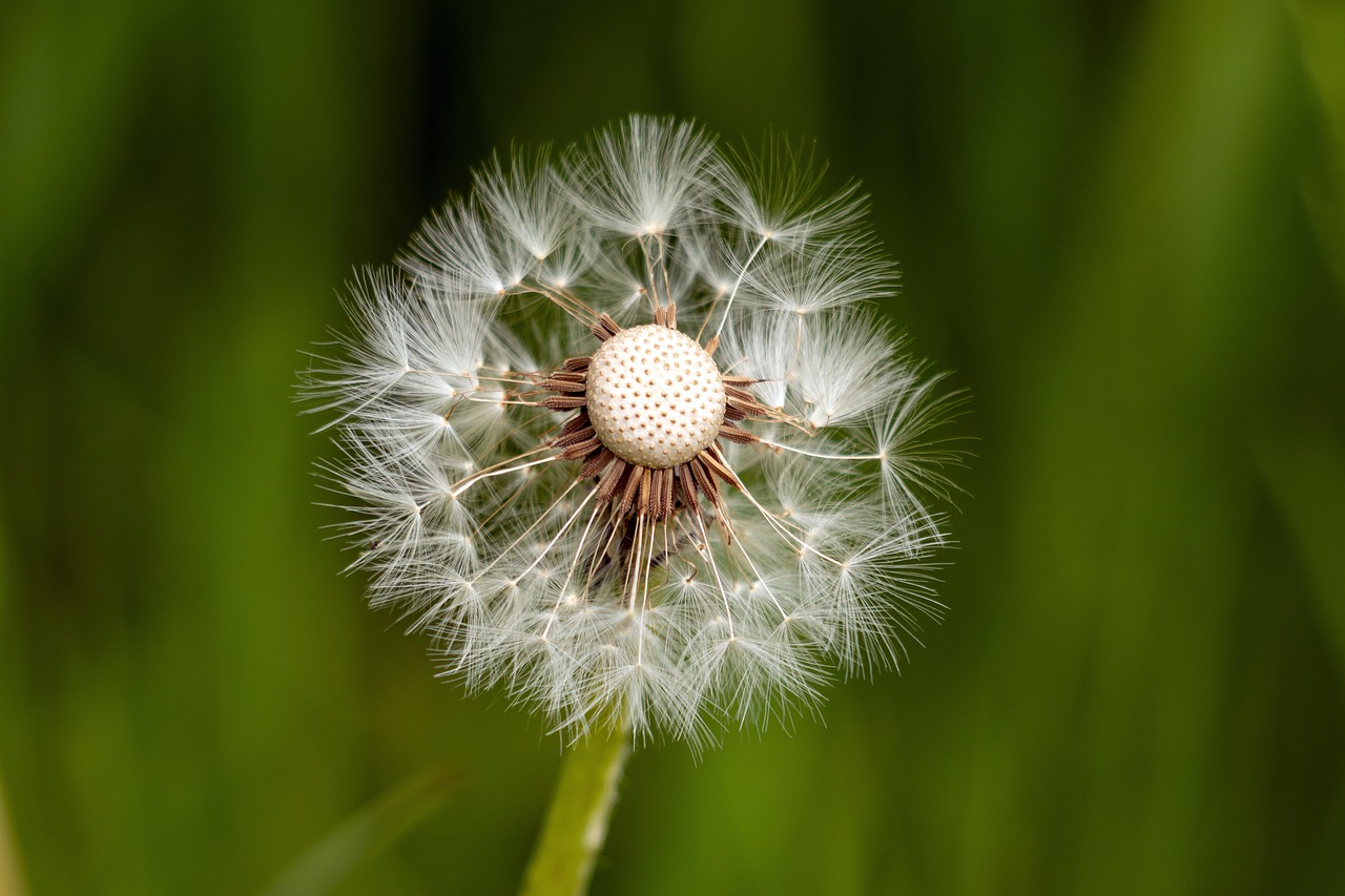 How to overcome business failure and thrive in 2025 discover strategies and insights to enhance business resilience, ensuring your company can adapt, survive, and thrive amidst challenges and uncertainties.