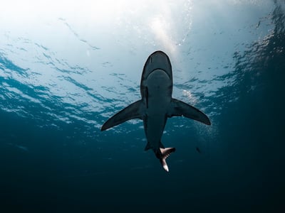Deep work strategies to boost focus and productivity
